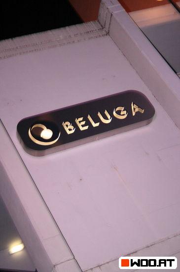 BELUGA & MORE - 