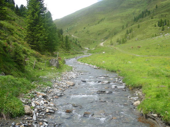 Praktikum auf der ALM - 