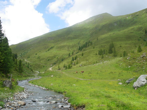 Praktikum auf der ALM - 