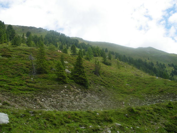 Praktikum auf der ALM - 