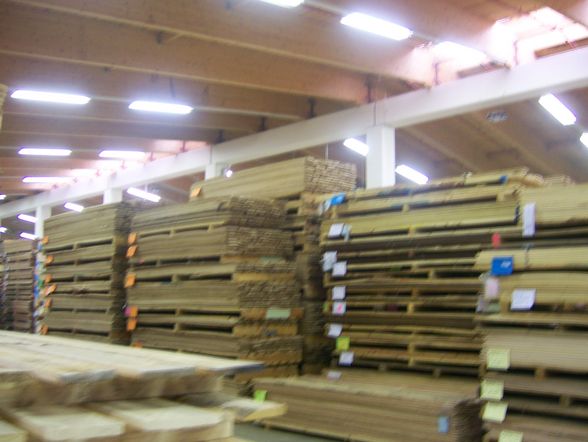 Exkursion Holz - 