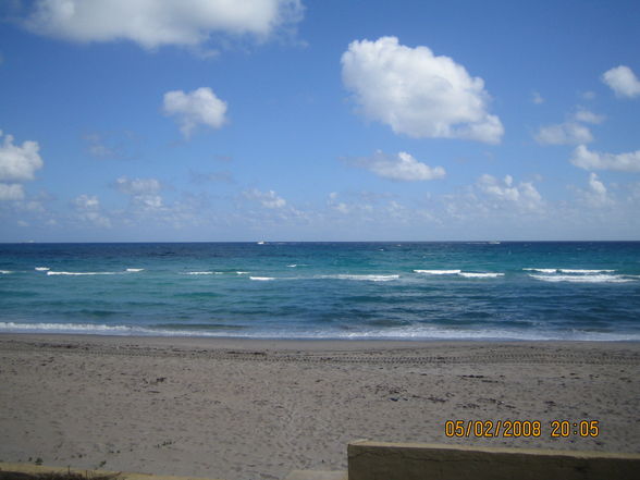 Miami_Febr._2008 - 