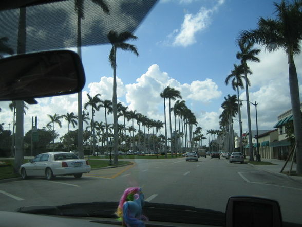 Miami_Febr._2008 - 