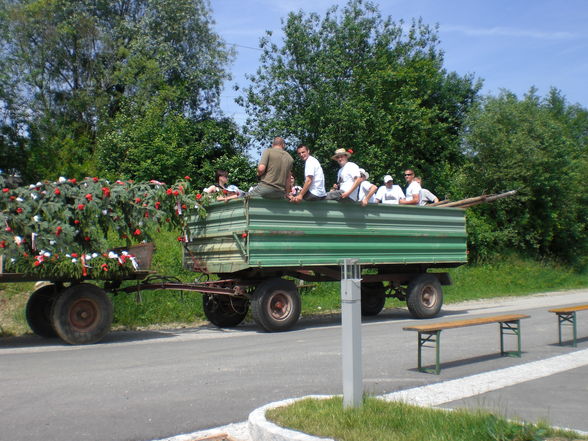 Maibaum-Piraten - 