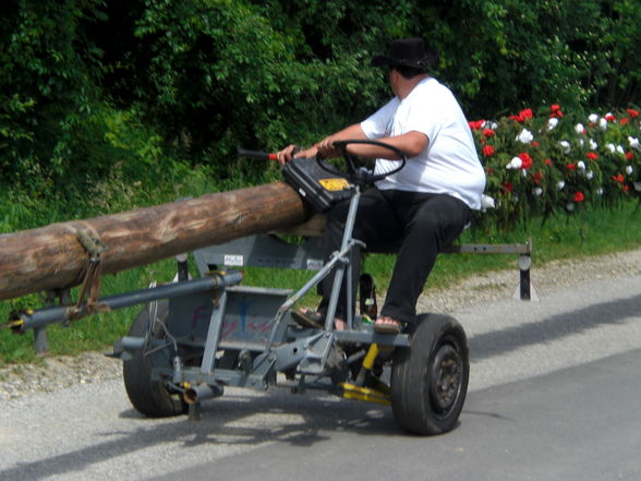 Maibaum-Piraten - 