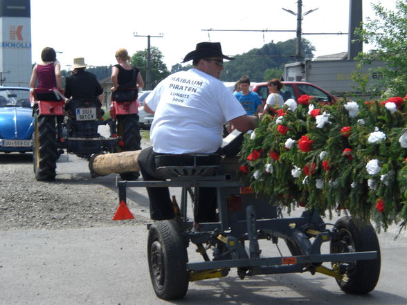 Maibaum-Piraten - 