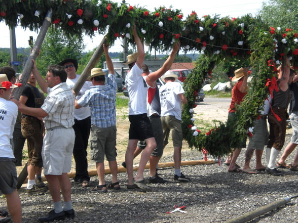 Maibaum-Piraten - 