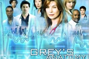 Grey's Anatomy - 