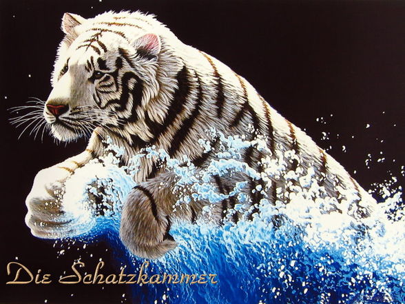 ~*voi di süßen Tiger*~ - 