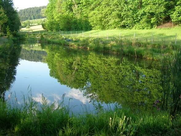 Fischteiche - 