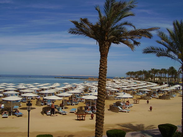 Hurghada 03.03-10.03.09 - 