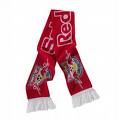 >Red Bull Salzburg< - 