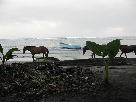 JaennerFeb. Costa Rica - 