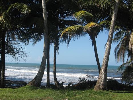 Cahuita - 