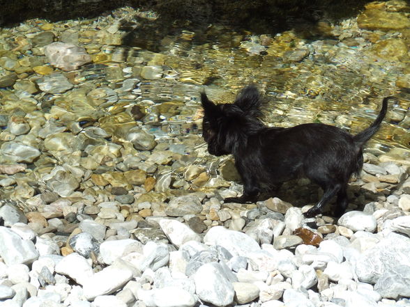 Unser Baby "GISMO" - 