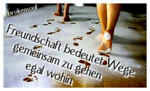 is ned sche - 