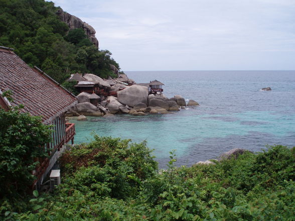 Thailand 2008, Bangkok-Koh Tao-Koh Samui - 