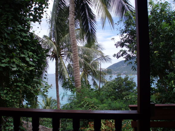 Thailand 2008, Bangkok-Koh Tao-Koh Samui - 