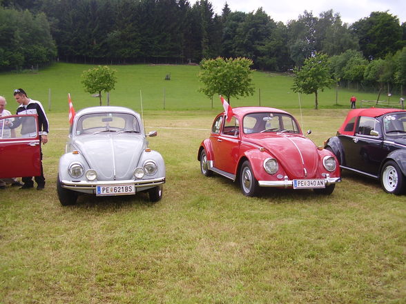 Die Oldtimer-Krankheit - 