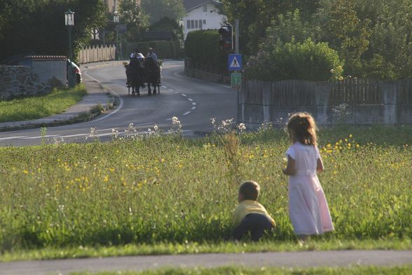 Hochzeitsfotos Lepperdinger - 