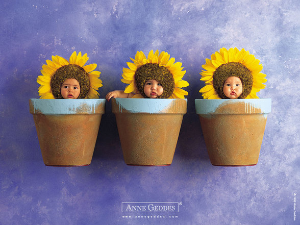 Lauter kleine Babys - Anne Geddes - 