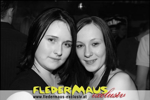 @the fledermaus - 