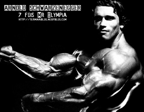 bodybuilding - 