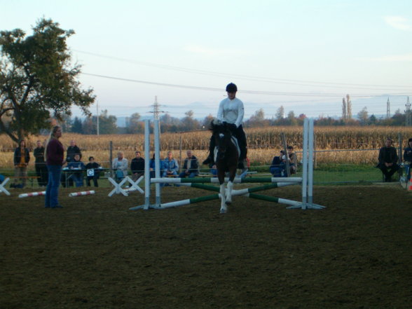 My Hobby reiten - 