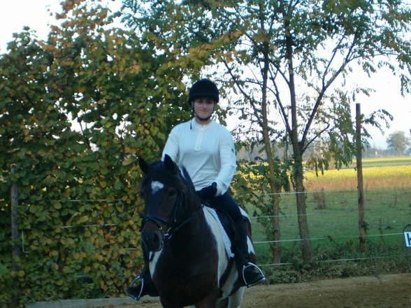 My Hobby reiten - 