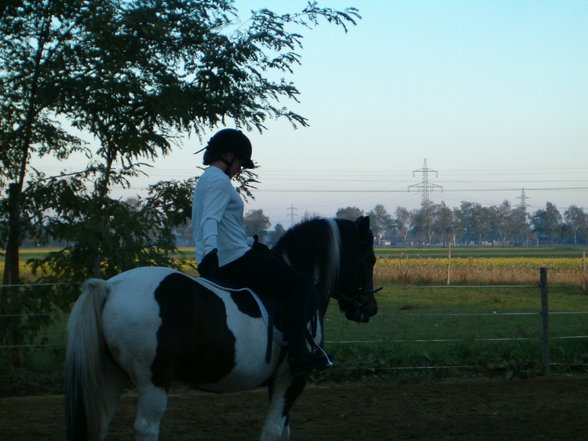 My Hobby reiten - 