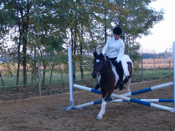 My Hobby reiten - 