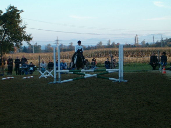 My Hobby reiten - 