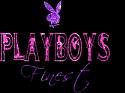 playboys - 