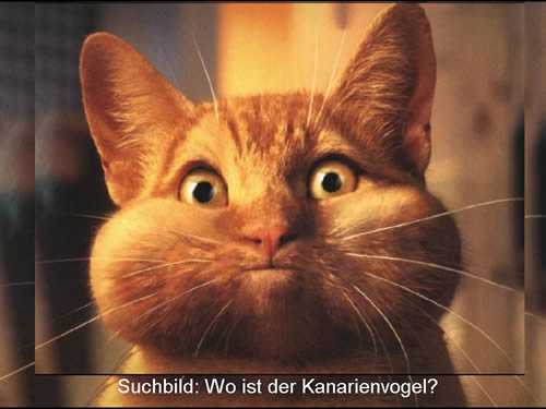 Geil!?!?!? - 