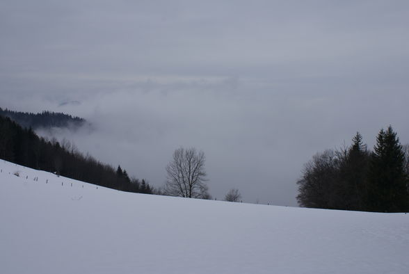 Tiefschneewandern Grünburger Hütte - 