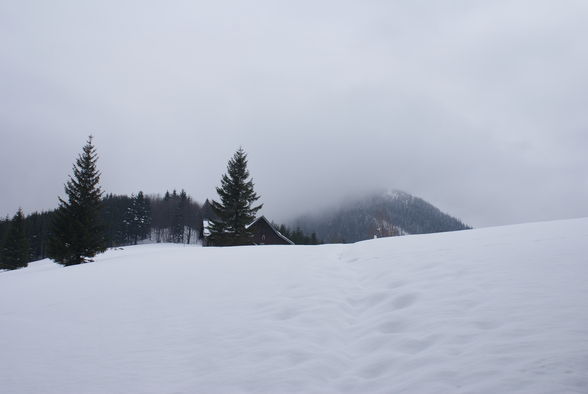 Tiefschneewandern Grünburger Hütte - 