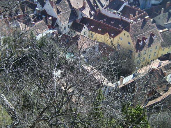 Graz & Umgebung 2008 - 