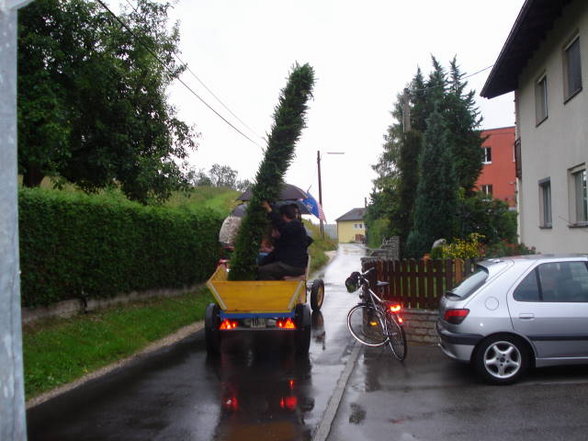 Jürschi Schwiebogenaufstön - 