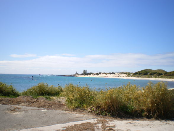 Rottnest - 