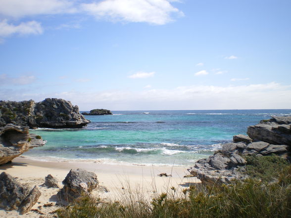 Rottnest - 