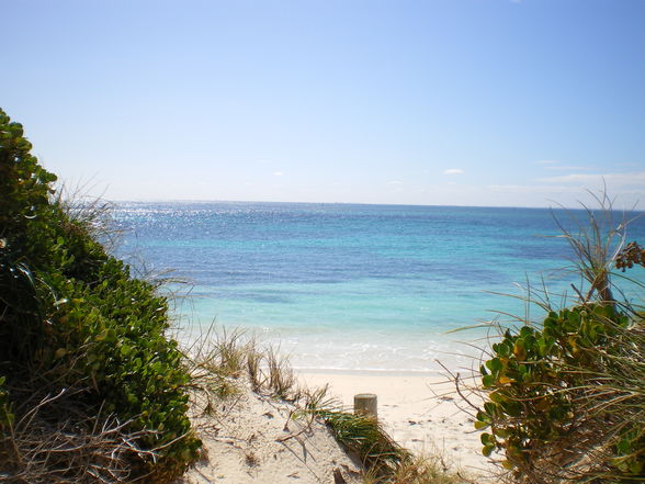 Rottnest - 