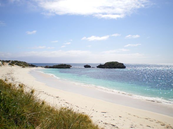 Rottnest - 