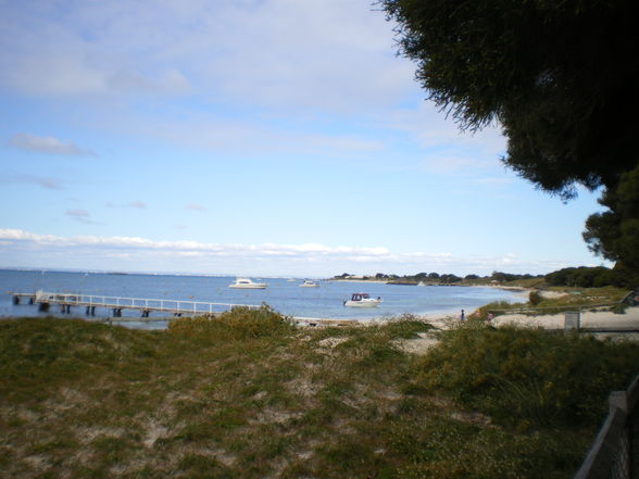 Rottnest - 