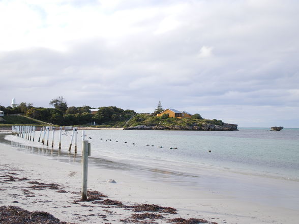 Rottnest - 