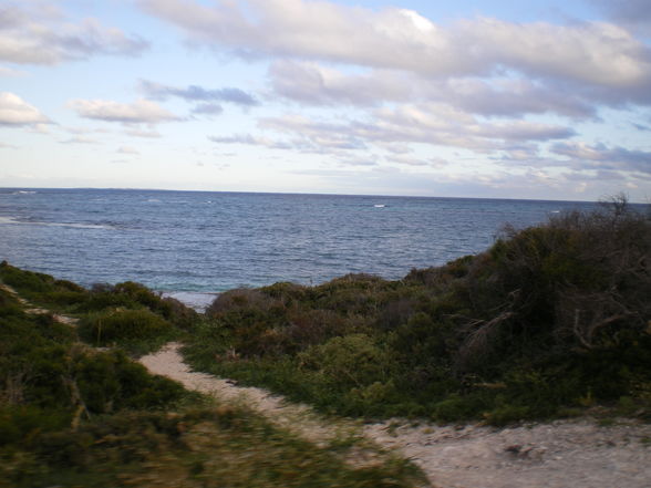 Rottnest - 