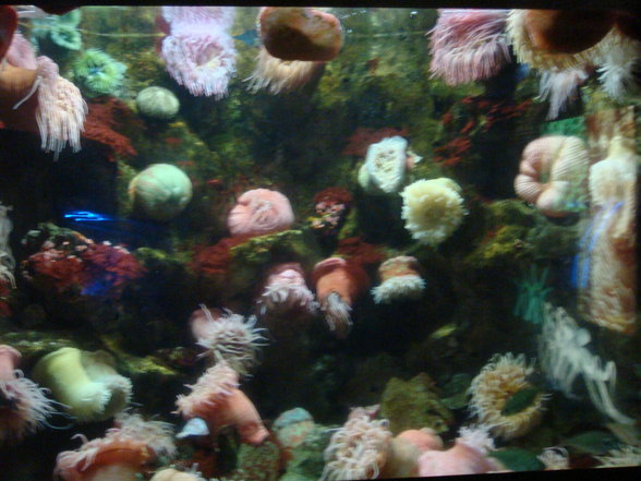 Aquarium und Abenteuer Australien - 