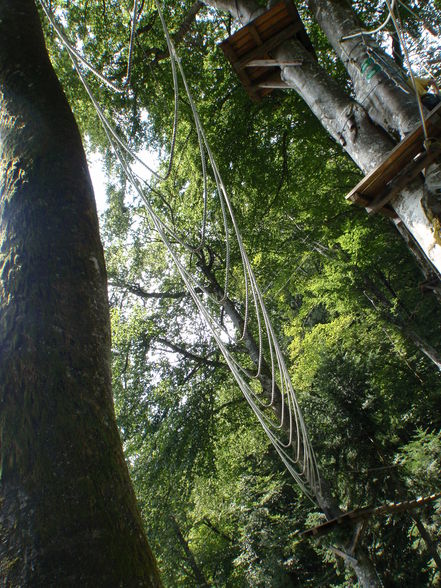 Hochseilklettergarten Seeham - 