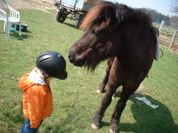 meine lieblinge - 