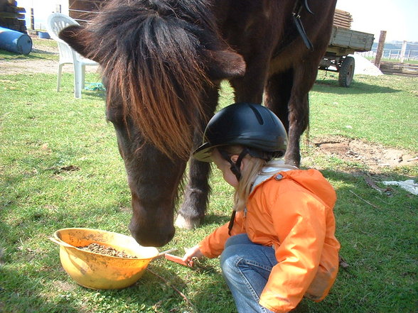 meine lieblinge - 