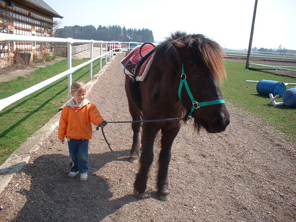 meine lieblinge - 